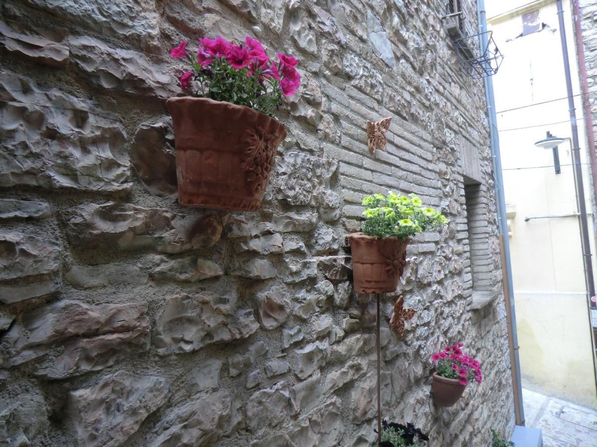 La Corta Di Spello Camere المظهر الخارجي الصورة